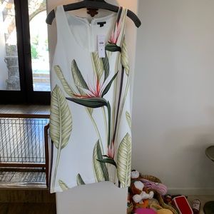 Ann Taylor straight crepe Hawaiian print dress, so 6, NWT, excellent condition!